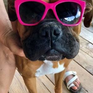 Meet your Posher, Pam